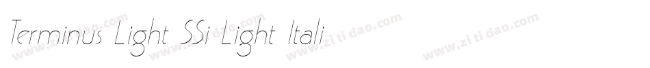 Terminus Light SSi Light Italic字体转换